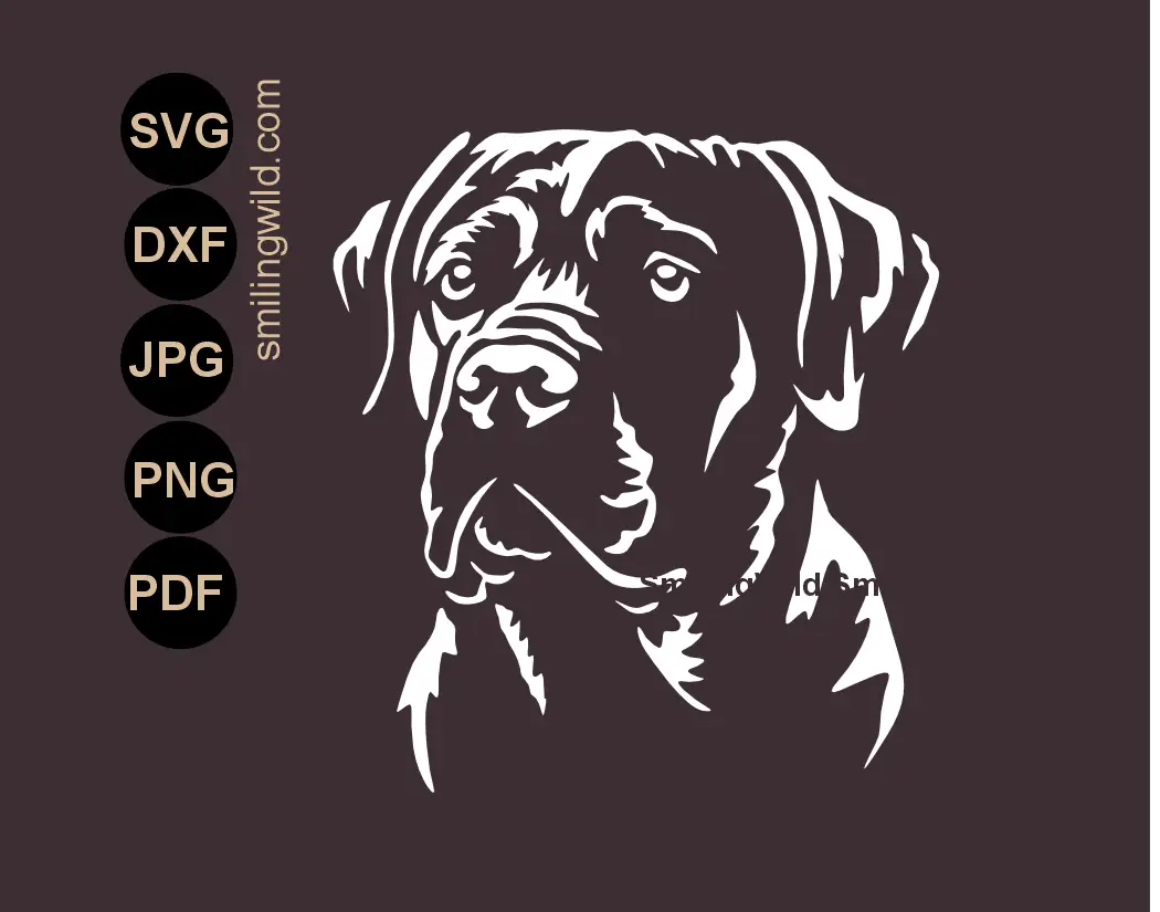 Cane Corso Dog SVG face clipart and white cut file for stencils.