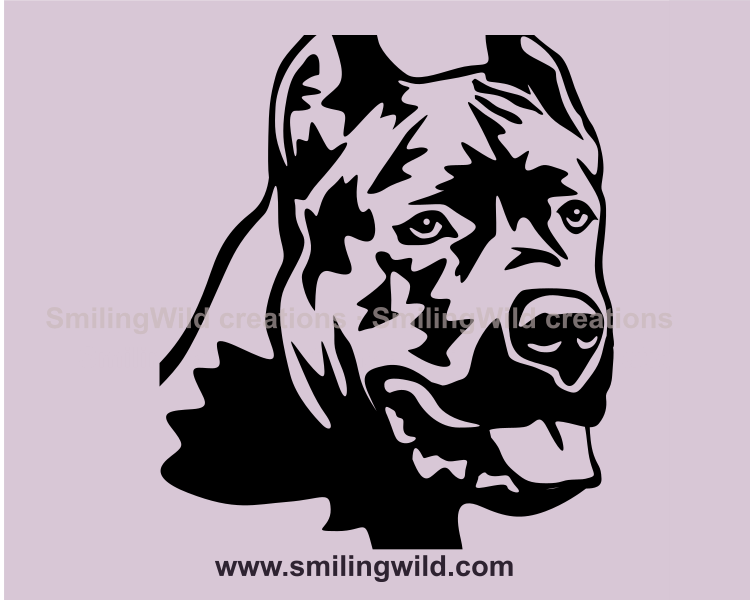 cane corso face in graphic style drawing