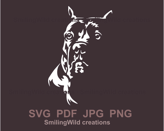 cane corso white digital design in graphic art style