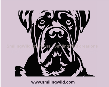 cane corso face in graphic style