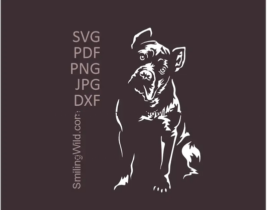 Full body, Sitting Cane Corso white SVG PNG DXF dog clipart vector file for Cricut and laser cutting projects