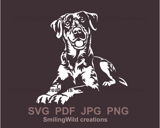 lying and smiling catahoula leopard dog in a white clip art desing
