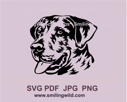 Smiling Catahoula leopard dog portrait