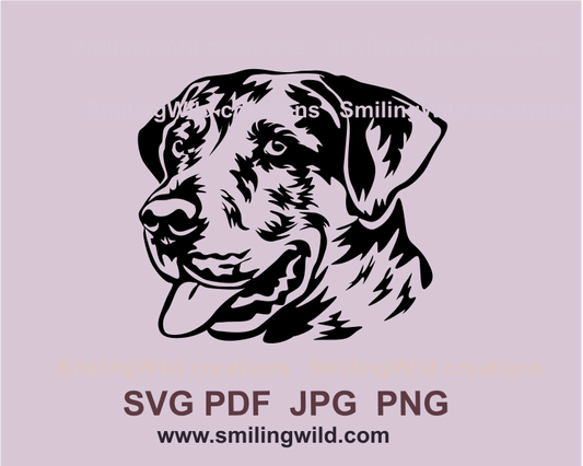 Smiling Catahoula leopard dog portrait