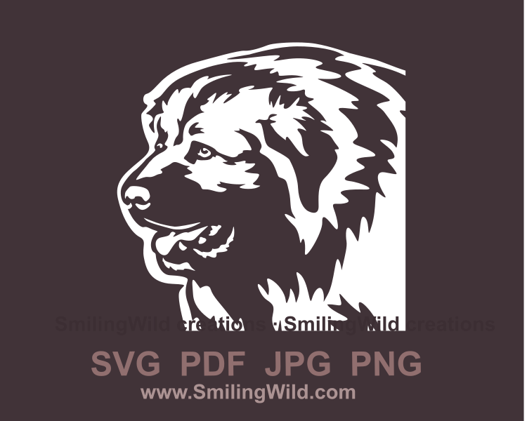 caucasian shepherd vector clip art face looking to the left in a white color