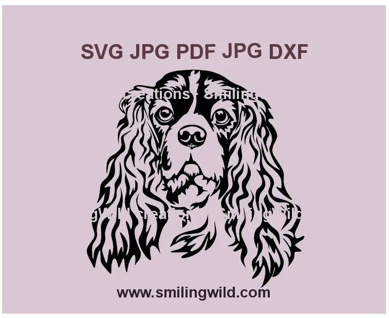 Cavalier King Charles Spaniel SVG PNG DXF dog face portrait, realistic vector clipart for Cricut and laser cutting