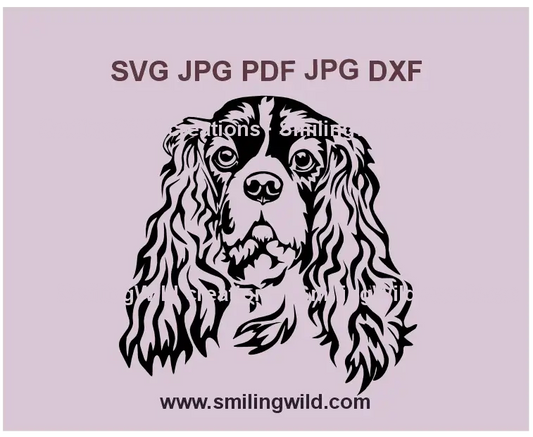 Cavalier King Charles Spaniel SVG PNG DXF dog face portrait, realistic vector clipart for Cricut and laser cutting