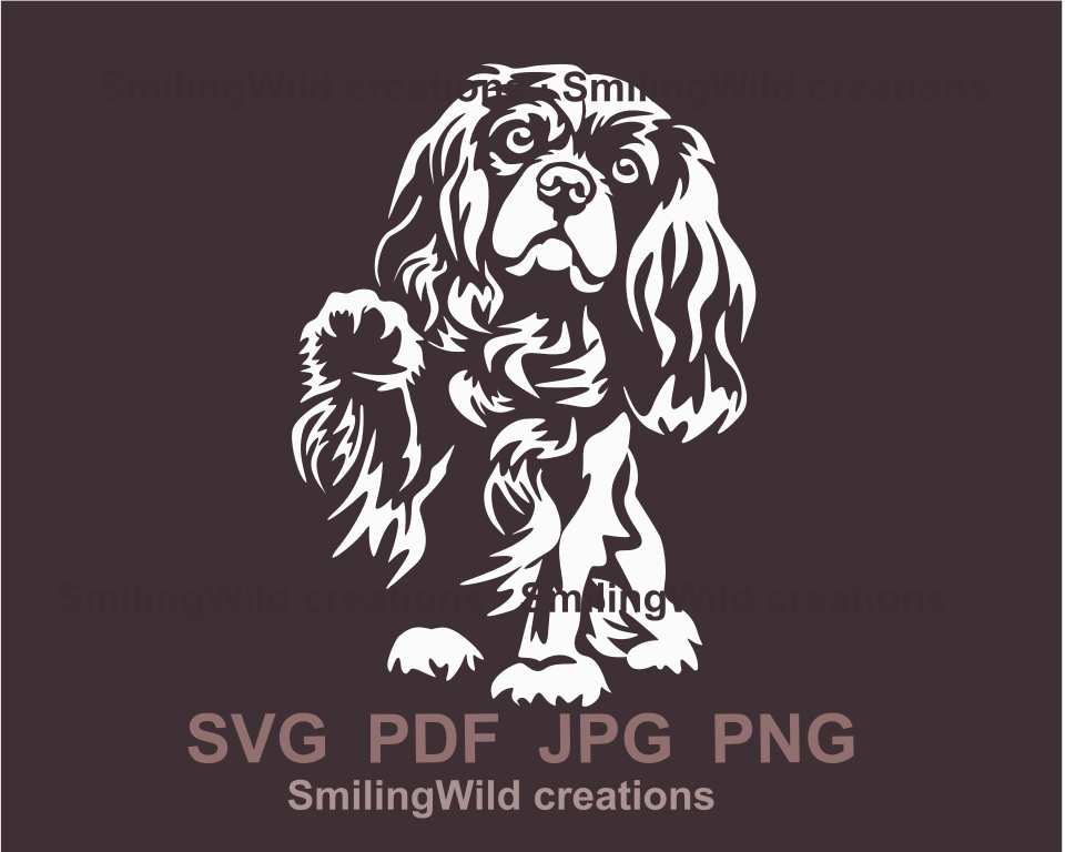 White dog design of king charles spaniel sitting and peeking