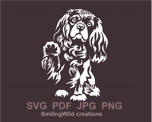 White dog design of king charles spaniel sitting and peeking