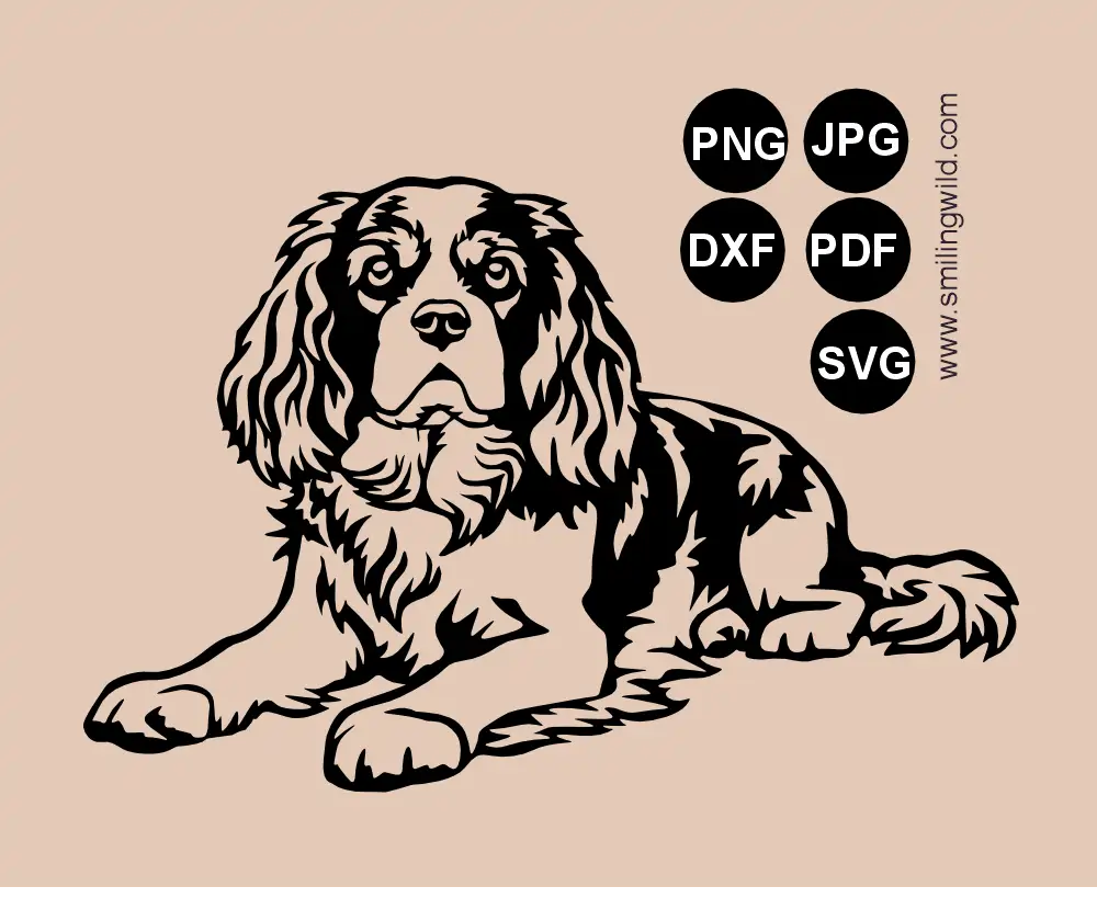 Full-body preview of a Cavalier King Charles Spaniel SVG, png and dxf cut file showing a lying dog with raised chest vector art design.