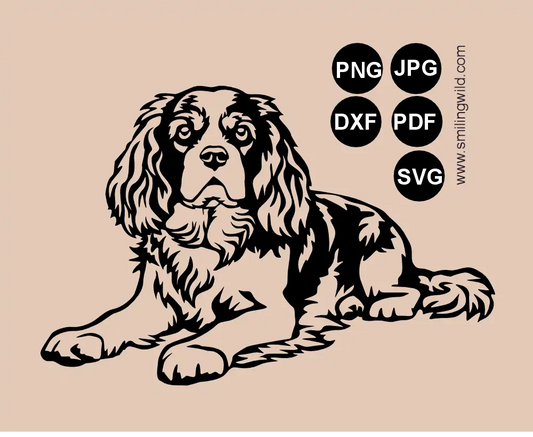 Full-body preview of a Cavalier King Charles Spaniel SVG, png and dxf cut file showing a lying dog with raised chest vector art design.