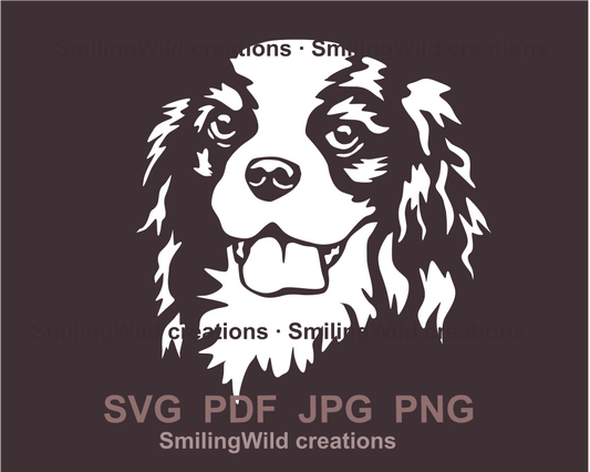 smiling cavalier king charles spaniel graphic portrait in white color