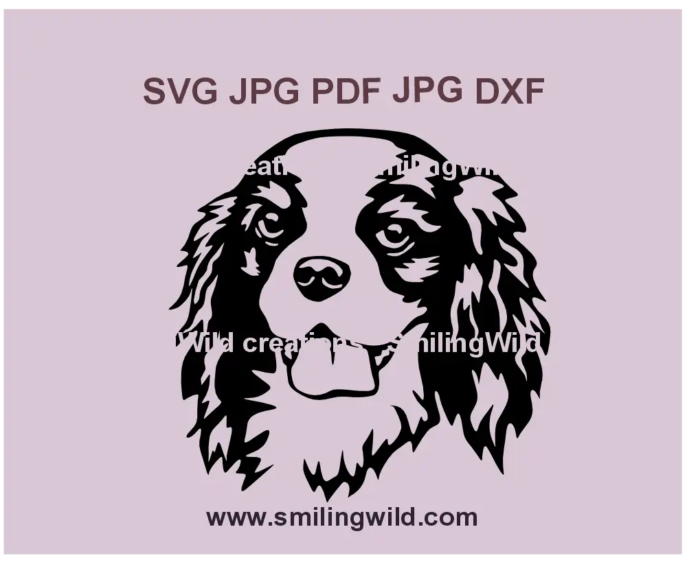 Cavalier King Charles Spaniel SVG vector clipart – Realistic digital design for Cricut & laser cutting projects