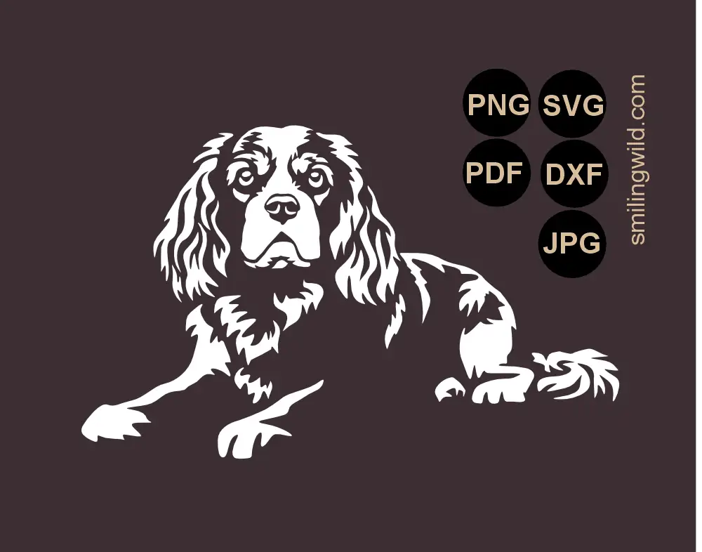 a lying frontal looking Cavalietr King Charles spaniel graphic drawing presenting white vector cut file for clipart use, cutting and engraving