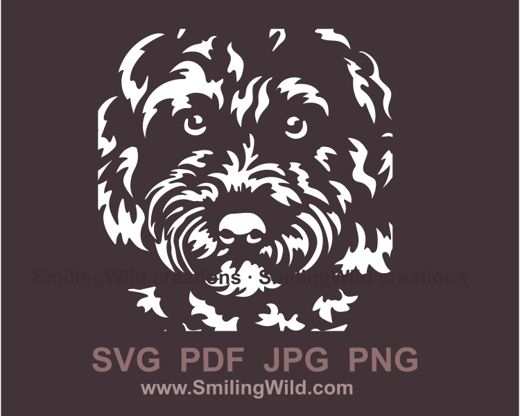 cavapoo face clip art drawing
