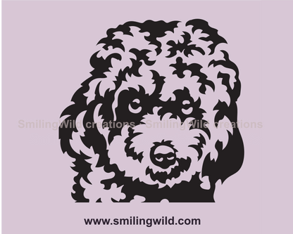 Cavapoo svg clip art