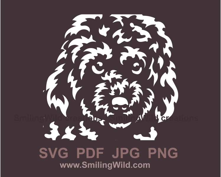 cavapoo  face made in vector clip art style