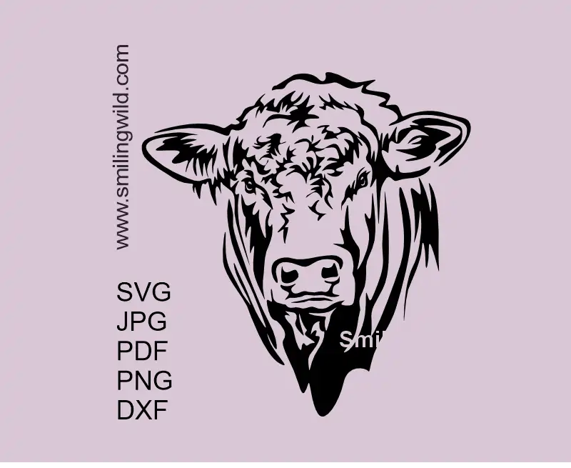 Charolais bull Head SVG PNG DXF vector clipart portarit for Cricut projects and digital crafting