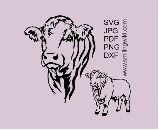 Charolais bull SVG PNG DXF vector cutting file with head and full-body cattle clipart for Cricut and laser engraving projects