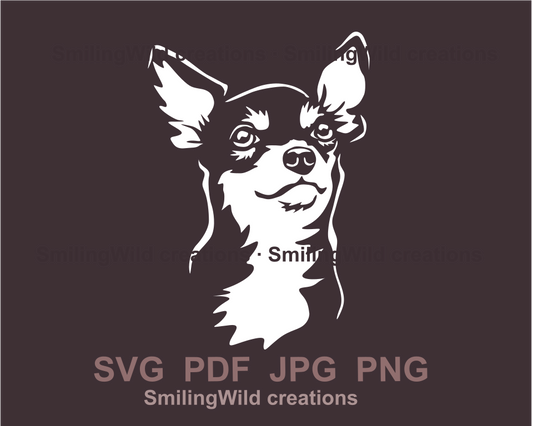 black and tan smooth chihuahua portrait in white graphic art sample