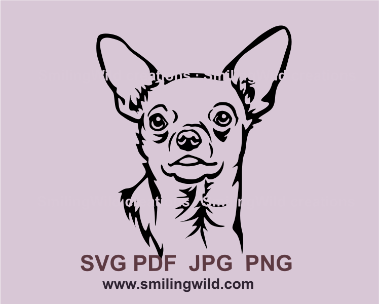 chihuahua face frontal design in graphic art