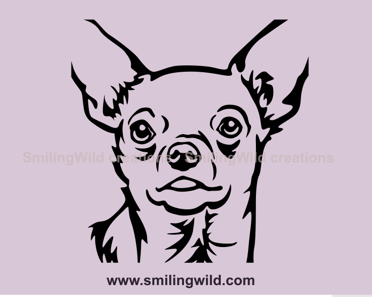 chihuahua vector design close up design