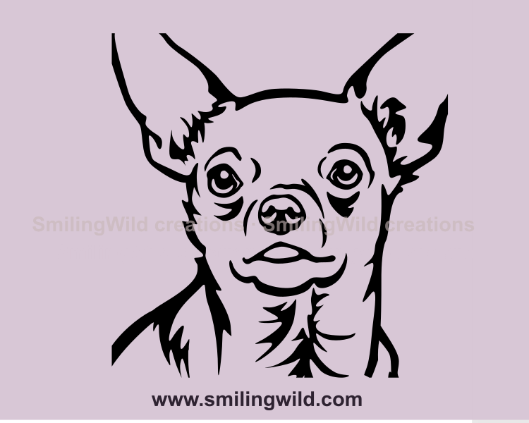 chihuahua vector close up portrait