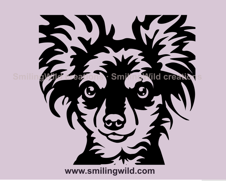 chihuahua vector svg art in close up illustration