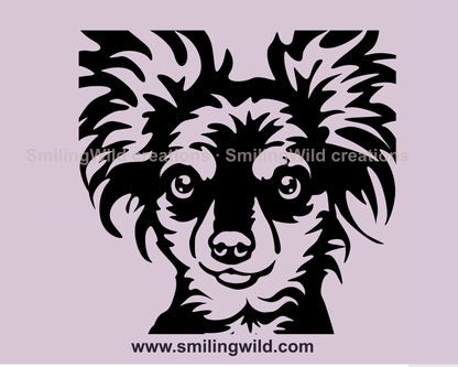 chihuahua vector svg art in close up illustration