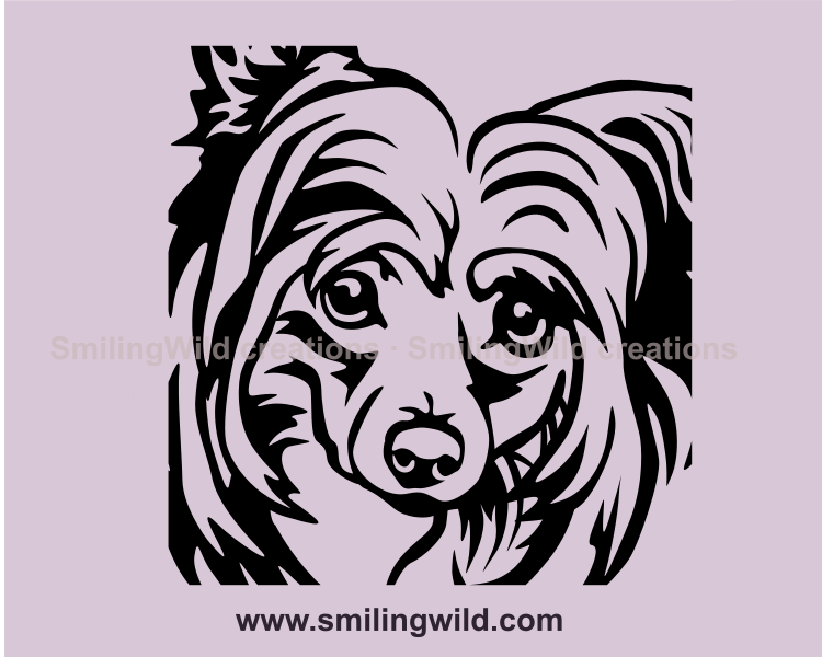 Chinese crested graphic design made in vector tyle