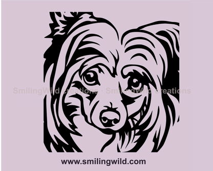 Chinese crested graphic design made in vector tyle