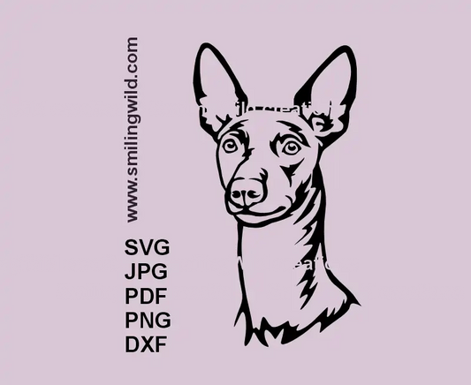Black vector face portrait of Cirneco dell’Etna dog in SVG, png and dxf cut file for Cricut and laser cutting in black color