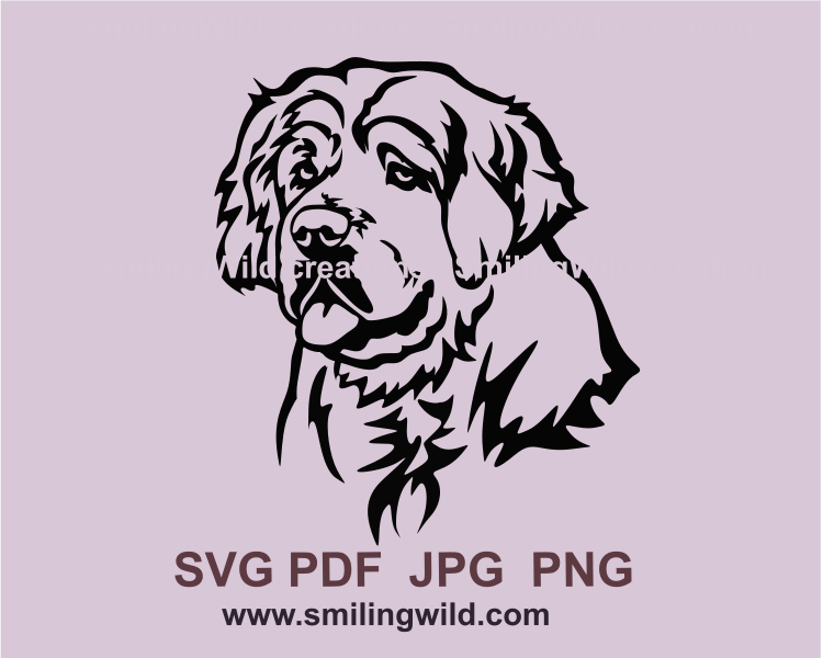 Clumber spaniel face created in digitl line art