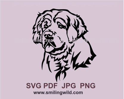 Clumber spaniel face created in digitl line art