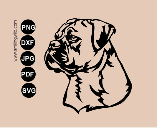1/4 angle preview of a Continental Bulldog SVG PNG and DXF vector clipart portrait showing a detailed serious dog head drawing.