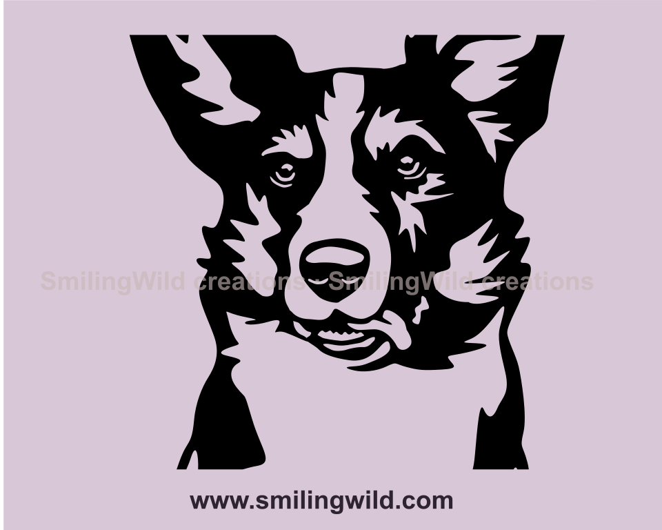 corgi graphic portrait close up