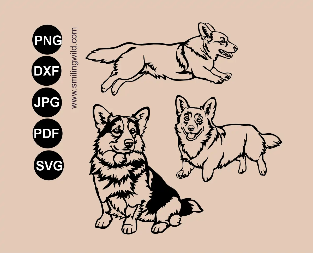 Overview preview showing a Corgi SVG, PNG and DXF vector cut file bundle of 3 full-body detailed dog drawings in sitting and motion poses.