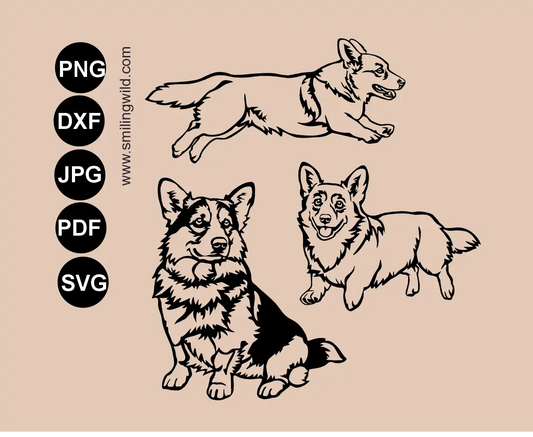 Overview preview showing a Corgi SVG, PNG and DXF vector cut file bundle of 3 full-body detailed dog drawings in sitting and motion poses.