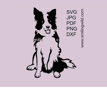 Cute Border Collie sitting dog SVG PNG DXF cuttable vector graphic for Cricut and laser cutting