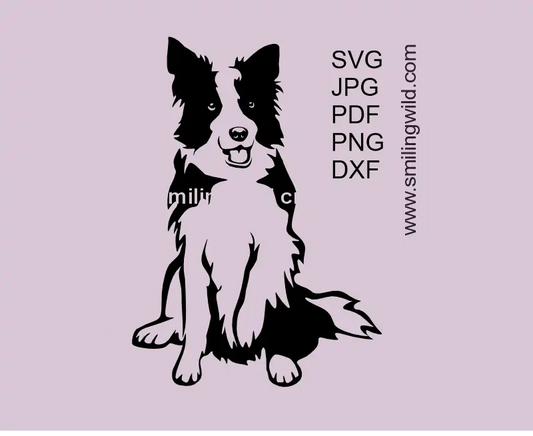 Cute Border Collie sitting dog SVG PNG DXF cuttable vector graphic for Cricut and laser cutting