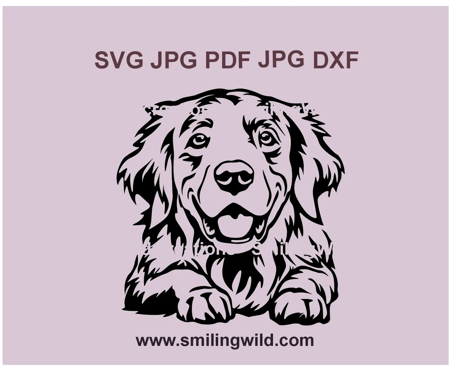 smiling cute Golden Retriever dog clipart in SVG format for Cricut and laser cutting projects