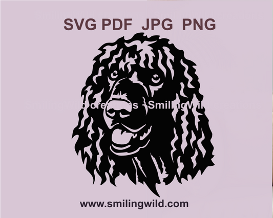 Black-and-white Irish Water Spaniel svg and png hunting dog clipart design - ideal for crafting and laser cutting projects