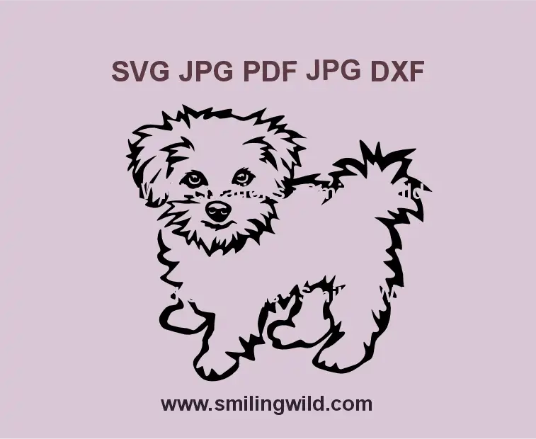 Cute Maltese Bichon Dog SVG Full Body Clipart - Pet Black Vector Graphic for Cricut, Laser Cutting