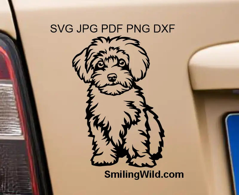 Cute sitting Maltipoo png cut file design for decals and stickers preview