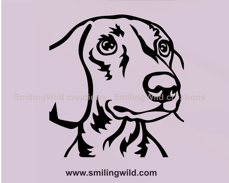 dachshund with big lovely eyes cuttable image art