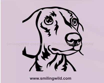 dachshund with big lovely eyes cuttable image art