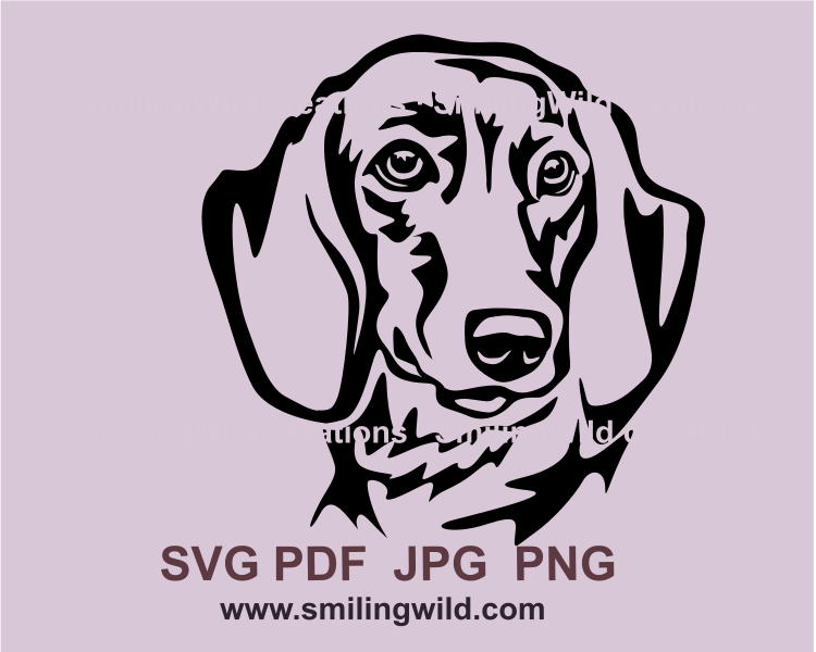 dachshund dog face in a svg portrait