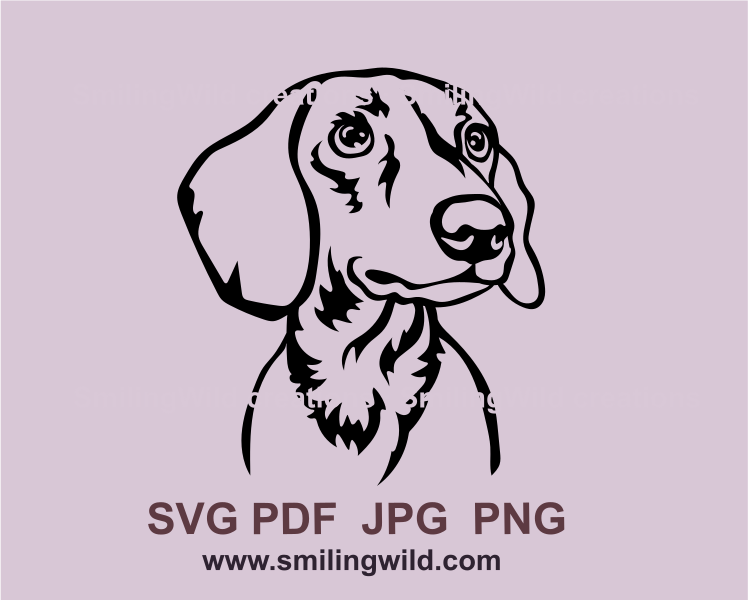 dachshund head made in a svg drawing