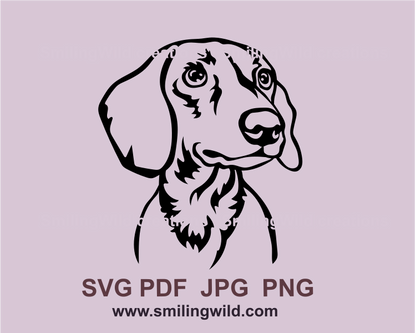 dachshund head made in a svg drawing