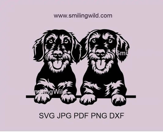 peeking Wirehaired Dachshund - also known as sausage dog Double Portrait SVG, png, dxf vector art files for Cricut and Laser Cutting